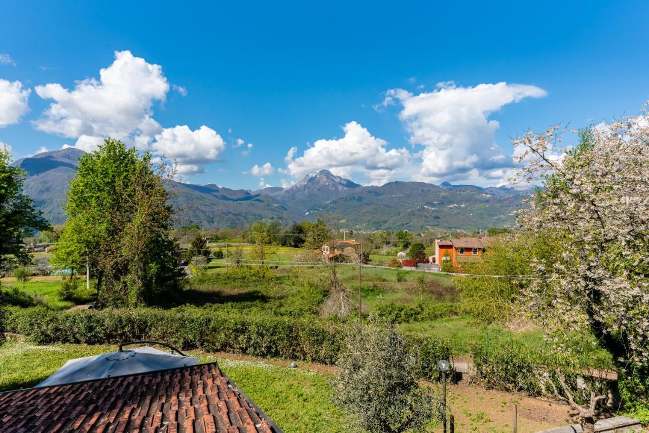 Tuscanskye - Villa Sofia With Private Swimming Pool And Garden Barga Esterno foto